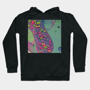 River bed Hoodie